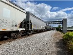 AEX 22923